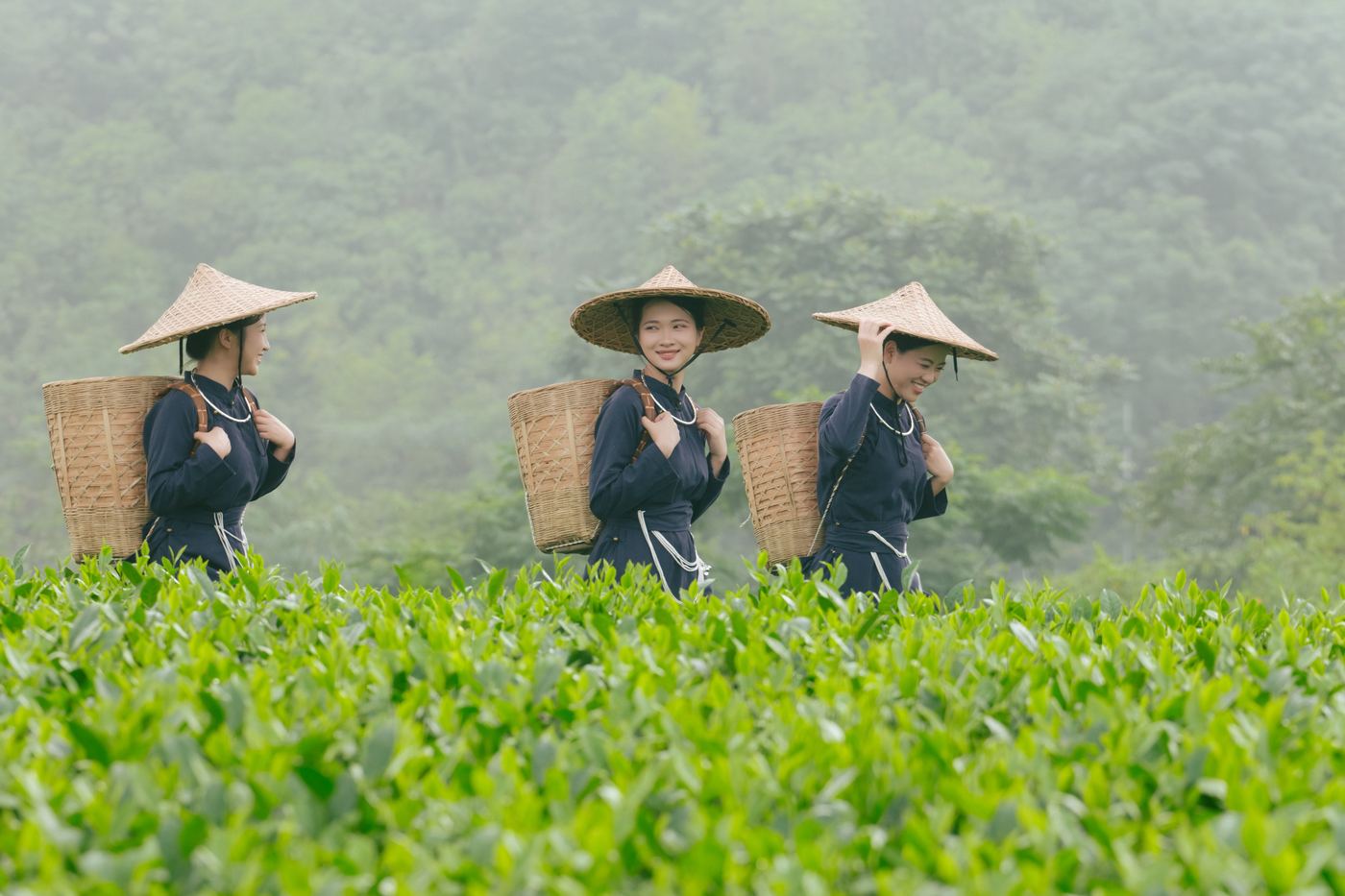 Sơn nữ trên đồi chè La Bằng