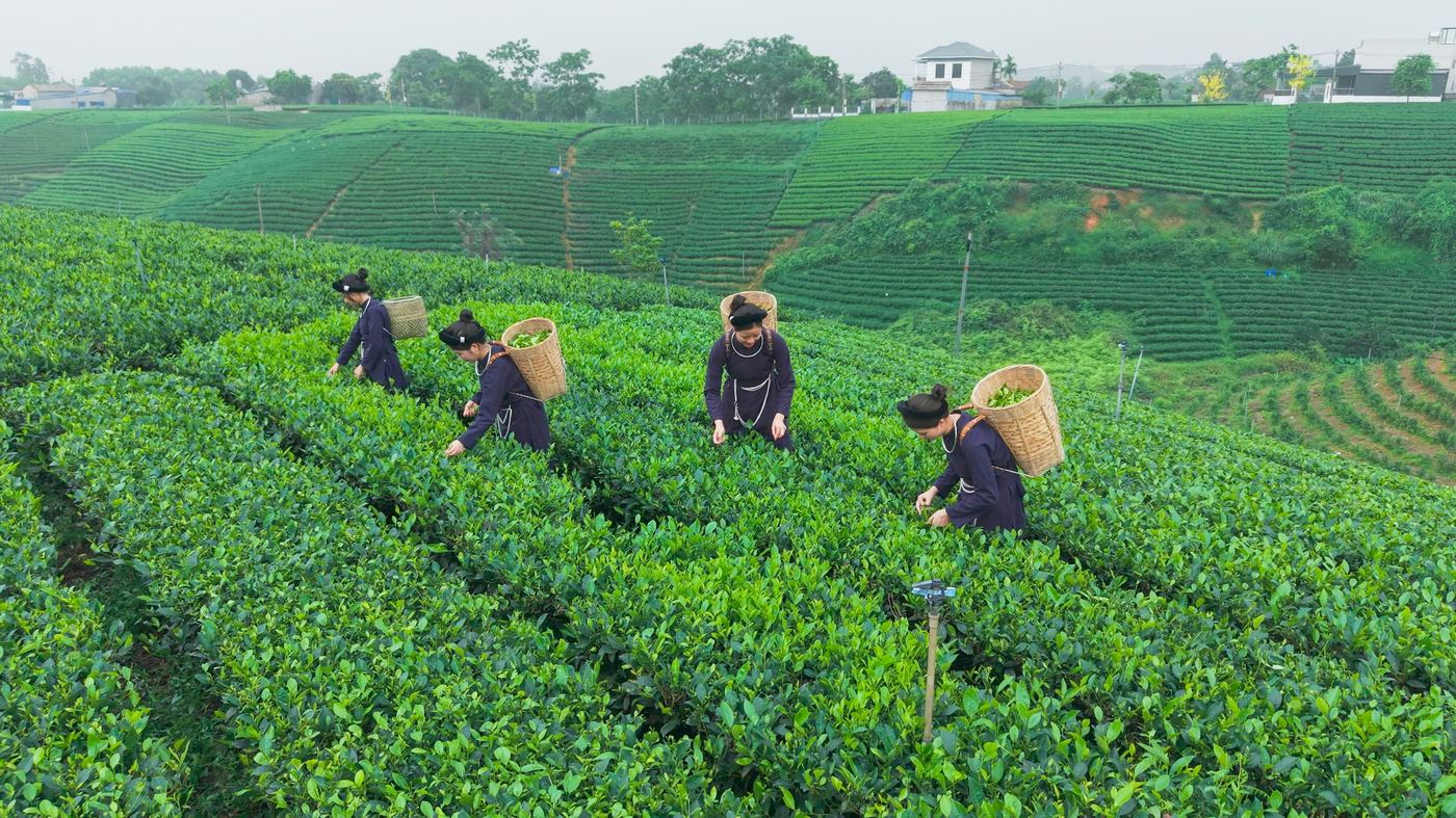 La Bằng