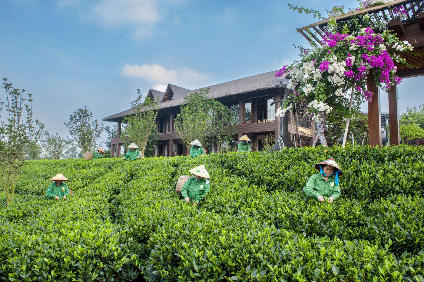 Tân Cương