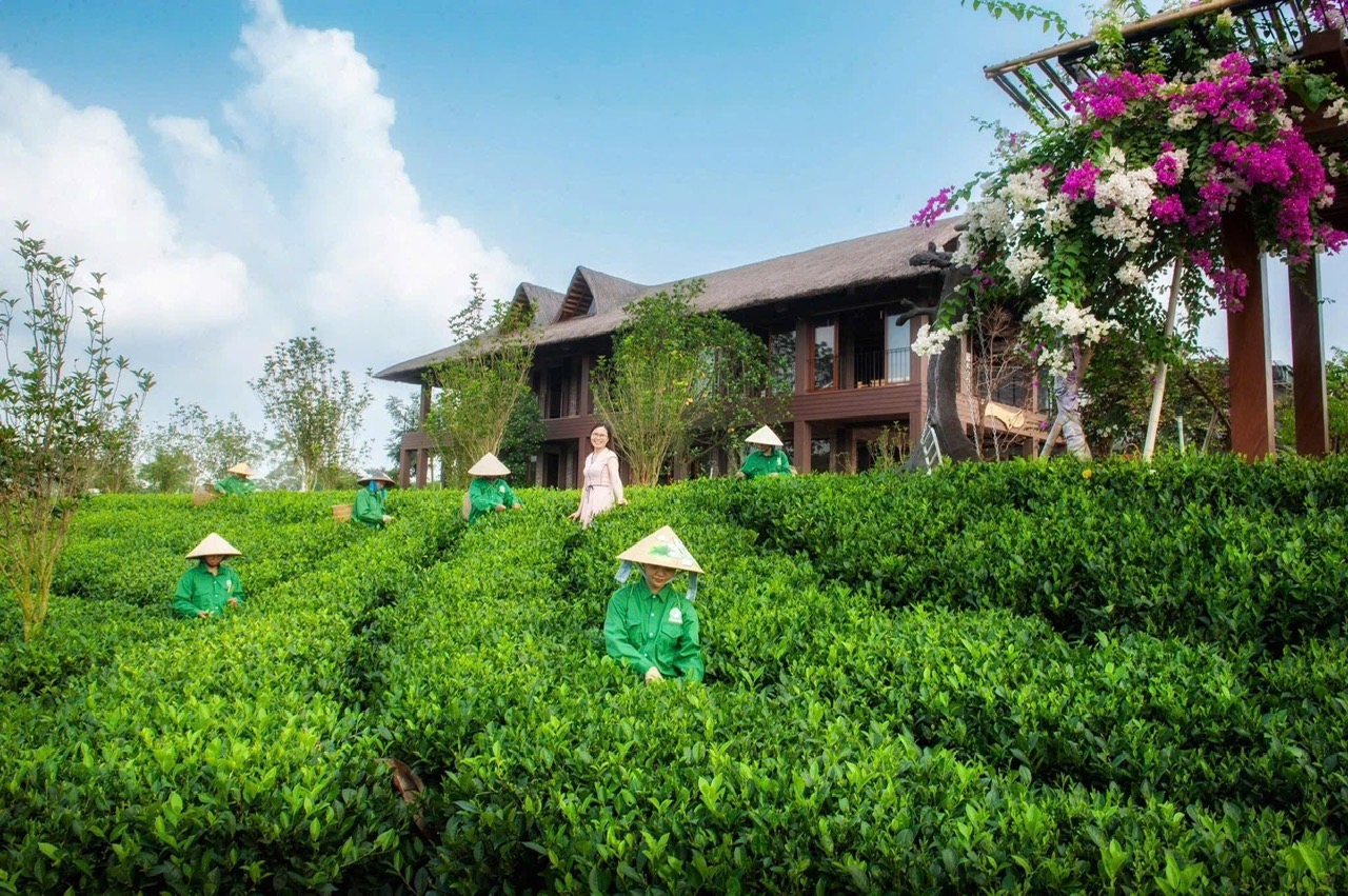 Cảnh quan vùng Tân Cương